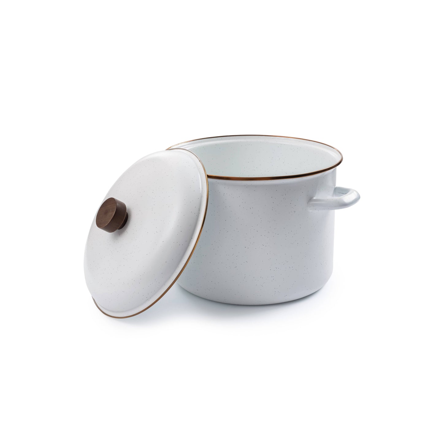 Enamel Stock Pot